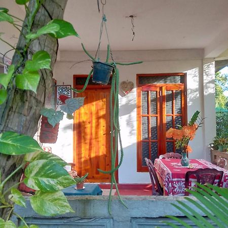 Nelum Home Stay Sigiriya Exteriér fotografie